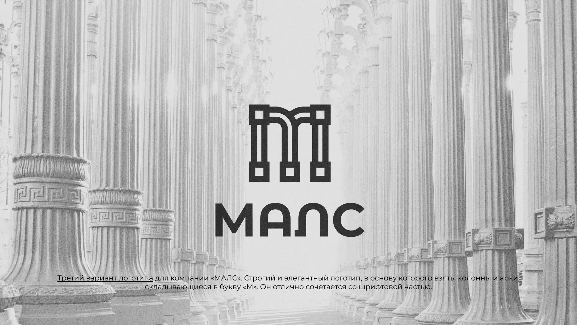 Разработка логотипа компании «МАЛС» в Нижнекамске